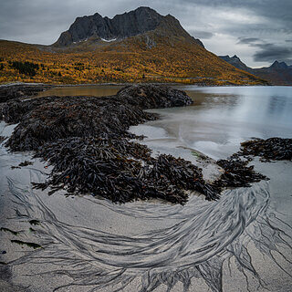 Senja - Mefjordbotn